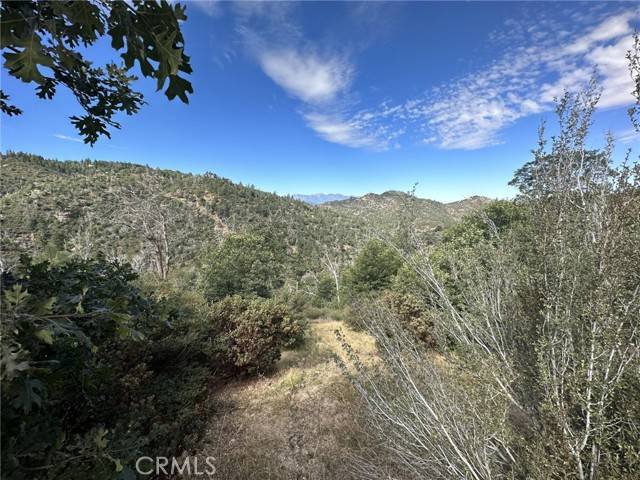 Lake Arrowhead, CA 92352,0 Edge Cliff