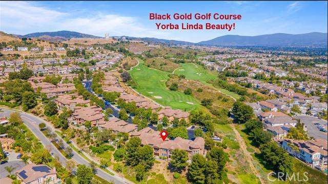 Yorba Linda, CA 92886,17155 Coriander Court