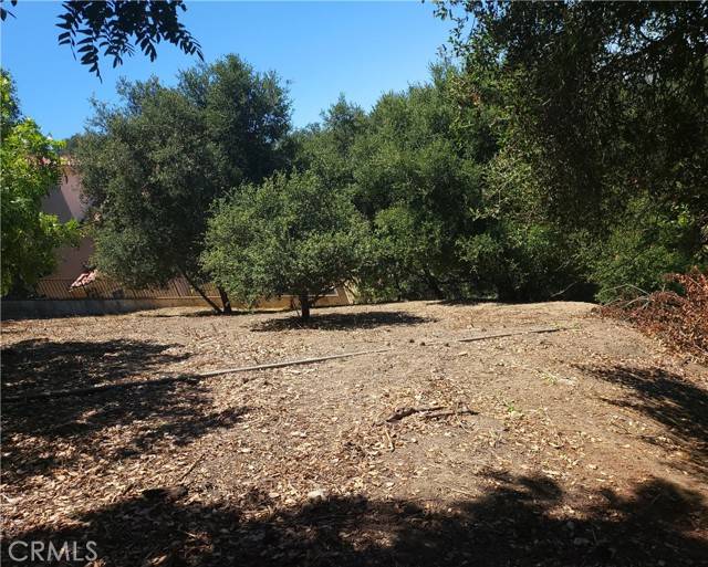 Chino Hills, CA 91709,0 Ravine