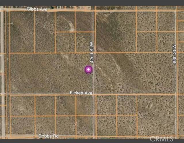 Rosamond, CA 93560,42 W mojave Tropico