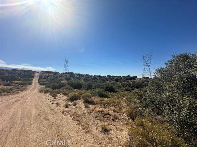 Phelan, CA 92371,0 Mesquite