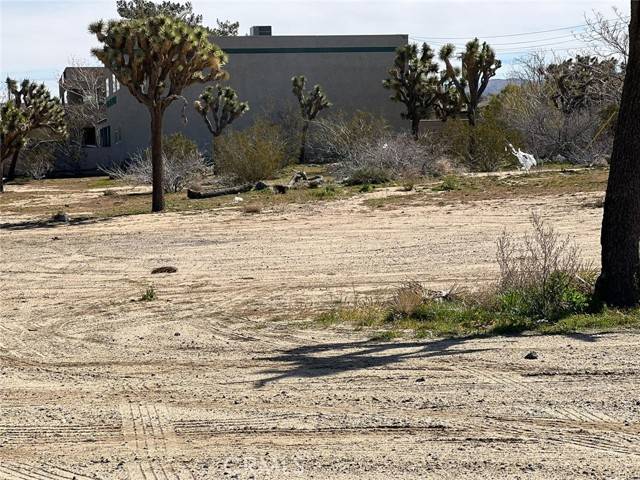 Yucca Valley, CA 92284,57005 Yucca