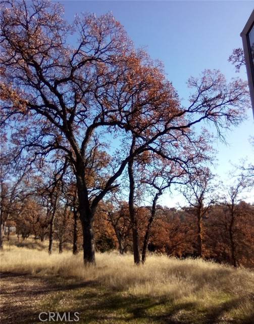 Corning, CA 96021,17065 Fawn