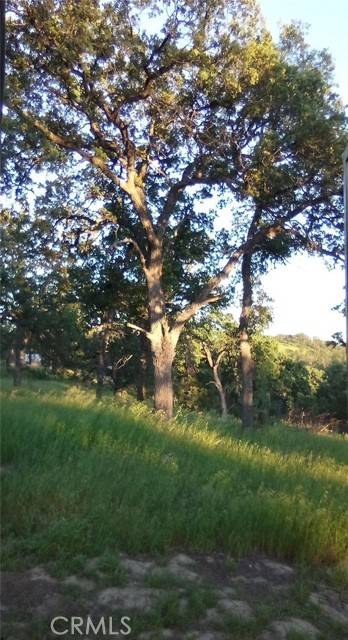 Corning, CA 96021,17065 Fawn