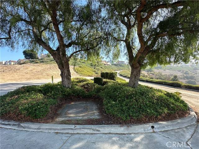 Anaheim Hills, CA 92808,1005 S Mountvale Court