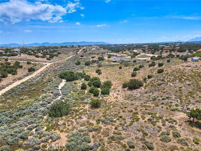 Oak Hills, CA 92334,0 Verbena