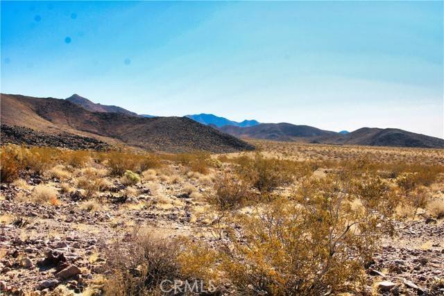 Newberry Springs, CA 92365,0 Hector Road