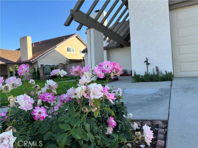 Walnut, CA 91789,135 Ricci Avenue