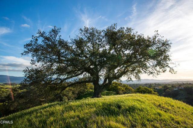 Santa Ynez, CA 93460,3570 Woodstock Road