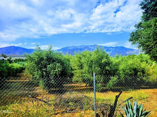 Santa Paula, CA 93060,12104 Topa Lane