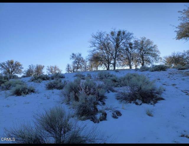 Tehachapi, CA 93561,17900 Zurich