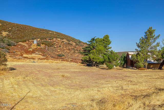 Leona Valley, CA 93551,39260 Bouquet Canyon Road