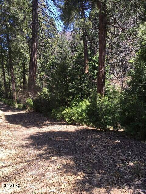 Lake Arrowhead, CA 92352,189 Mill Pond