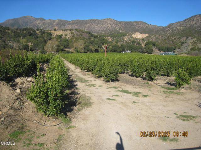 Fillmore, CA 93015,0 Grand