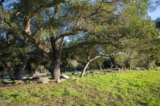 Ojai, CA 93023,0 Burnham