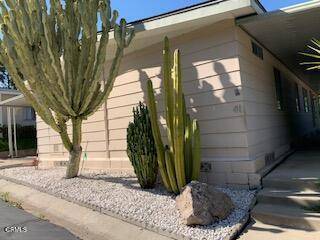 Camarillo, CA 93012,41 Irena #49