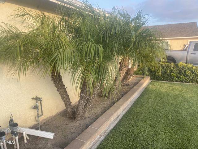Fillmore, CA 93015,312 Rhodes Court