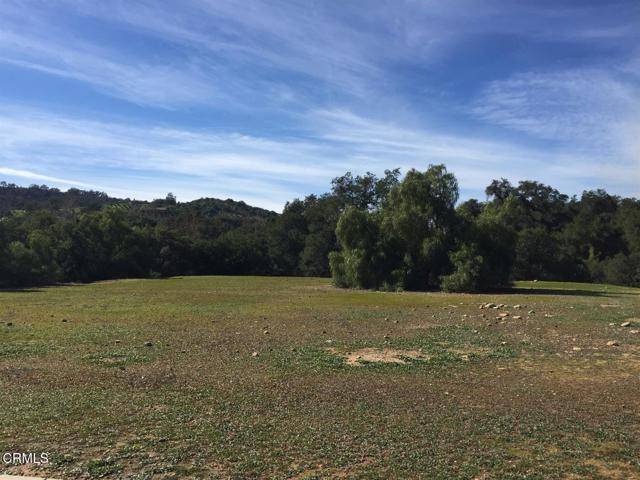 Ojai, CA 93023,12140 Macdonald