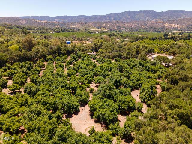 Ojai, CA 93023,3190 Thacher -B