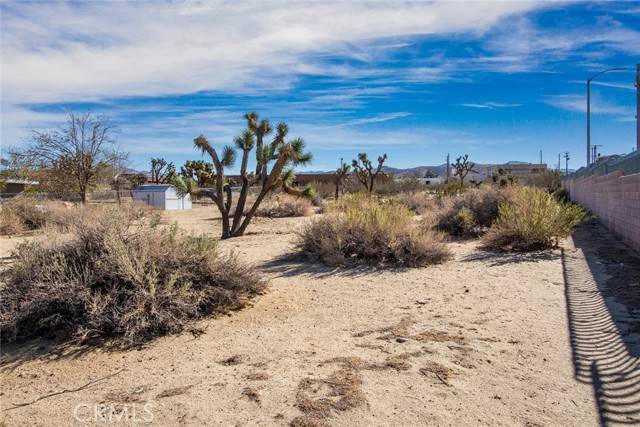 Yucca Valley, CA 92284,59520107 Encelia