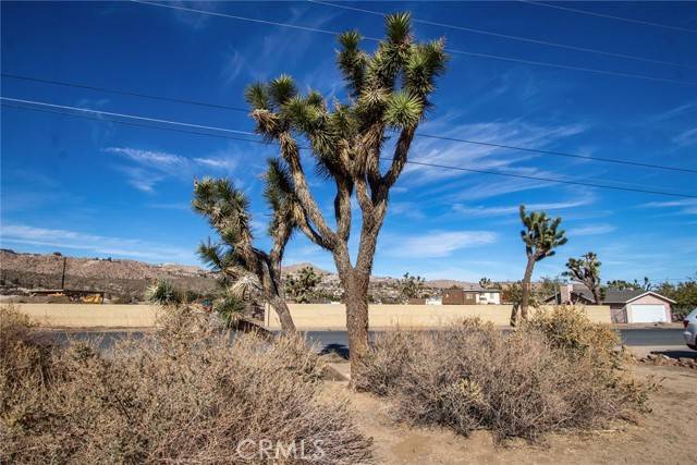 Yucca Valley, CA 92284,59520107 Encelia