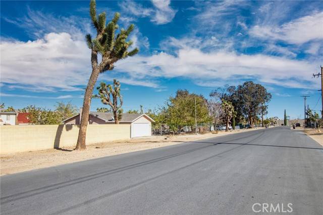 Yucca Valley, CA 92284,59520107 Encelia