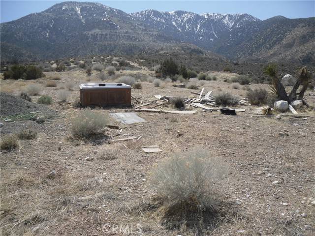 Lucerne Valley, CA 92356,33164 Rose Amber