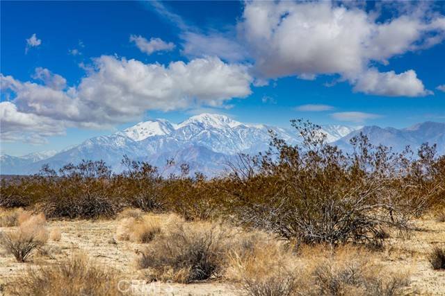 Joshua Tree, CA 92252,60713135 Terrace Drive