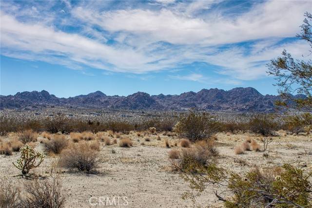 Joshua Tree, CA 92252,60713135 Terrace Drive