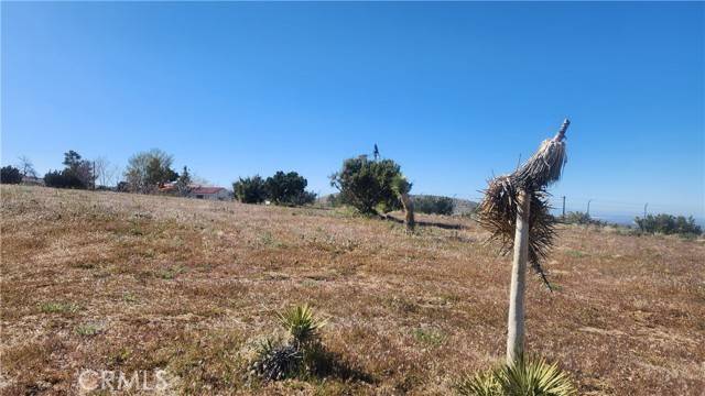 Juniper Hills, CA 93553,0 Longview