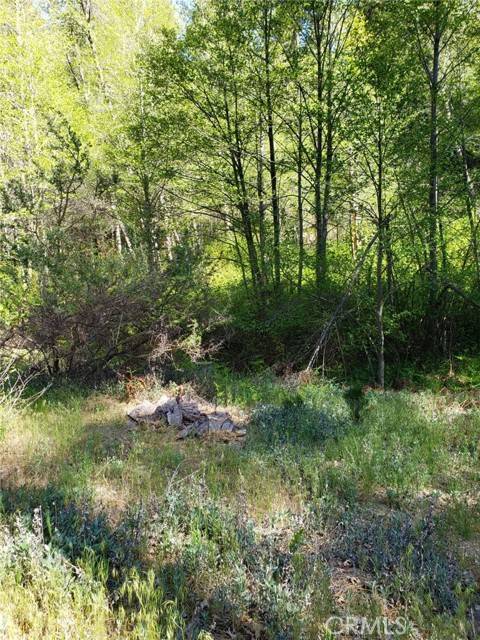 Cedar Glen, CA 92321,29531 Little Bear Creek