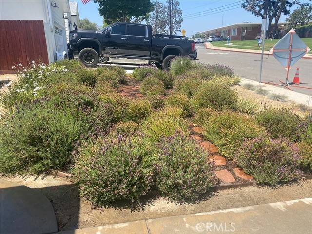 El Segundo, CA 90245,619 CENTER Street