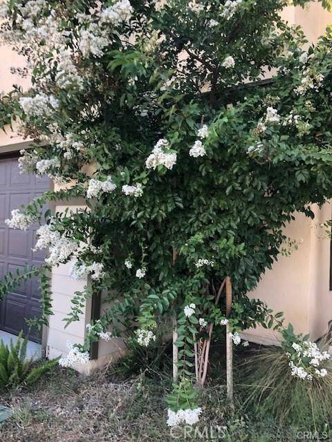 Ontario, CA 91764,1112 N Tribune Privado