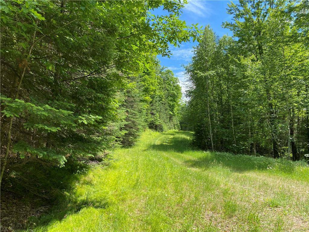 Hayward, WI 54843,Lot 12 Crane Lane