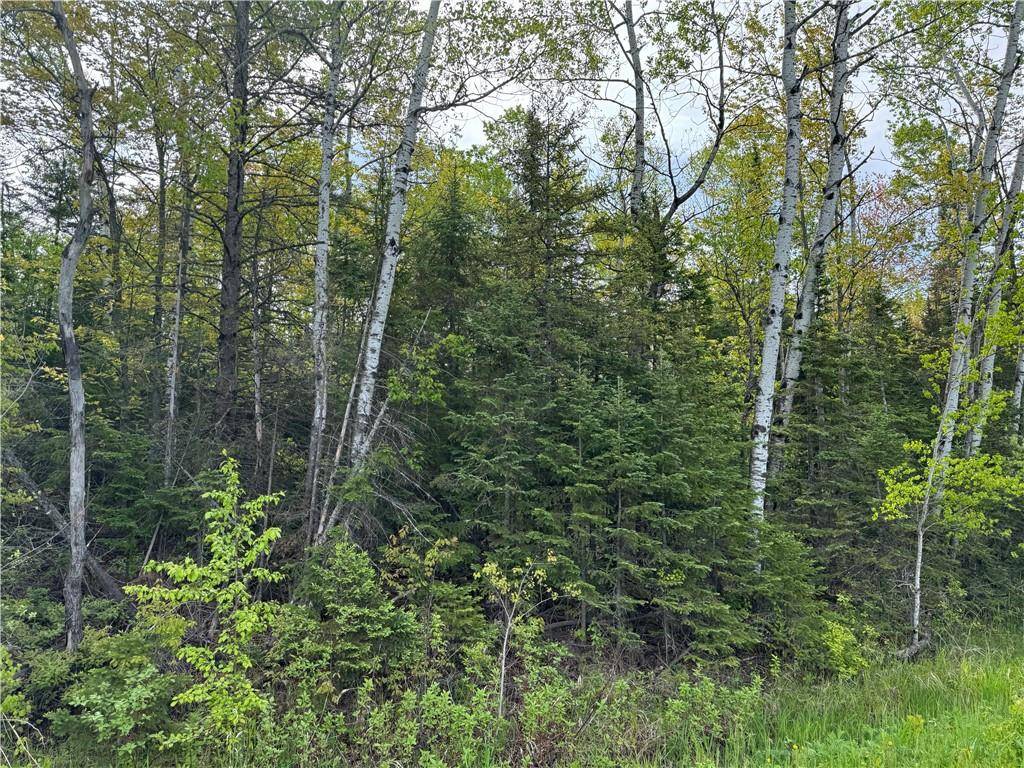 Port Wing, WI 54865,5.56 acres on Evergreen Road