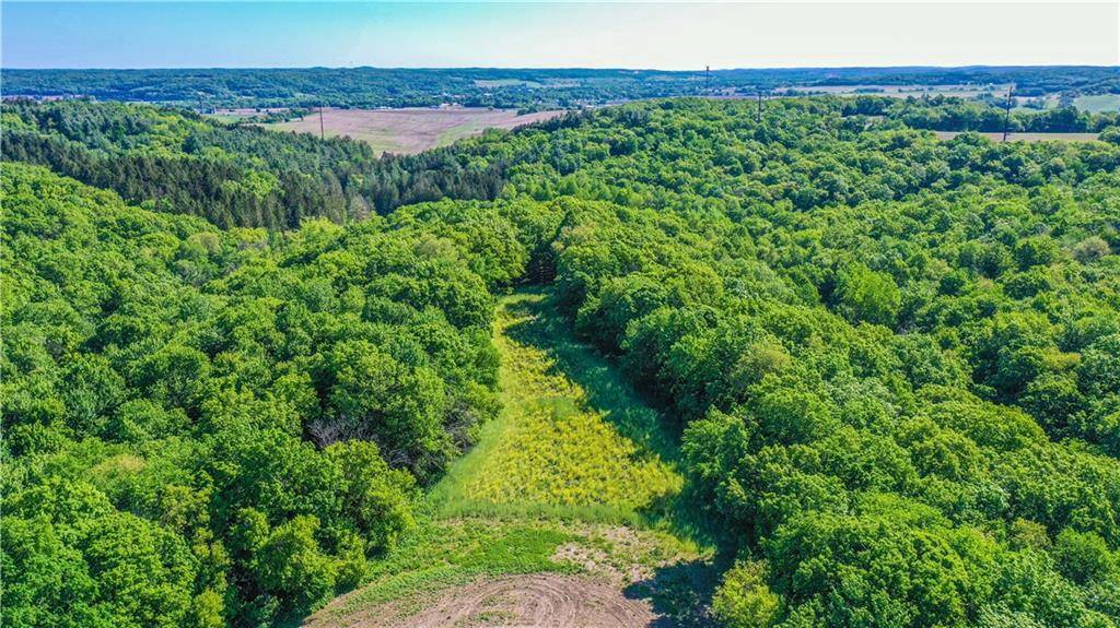 Blair, WI 54616,N29724 Brekke Ridge Rd