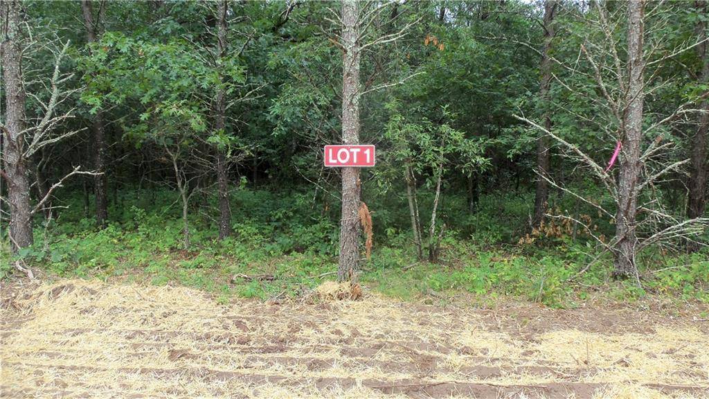 Grantsburg, WI 54840,LOT 1 BUR OAK TRL