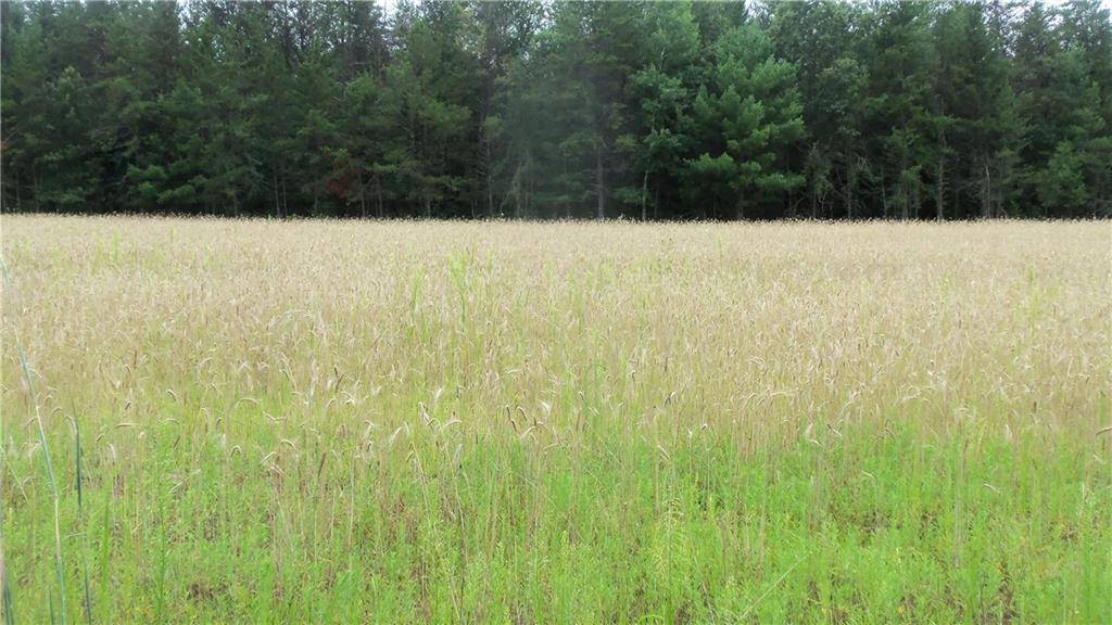 Grantsburg, WI 54840,LOT 4 BUR OAK TRL