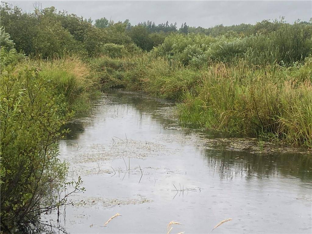 Ogema, WI 54459,On Shauger Road