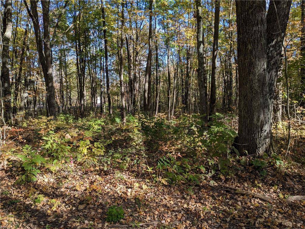 Stone Lake, WI 54876,Lot 2 Short Cut Road