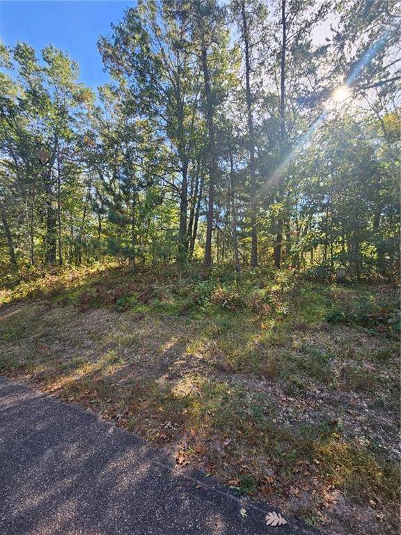 Danbury, WI 54830,XXX Lots 76 & 77 Deerpath Road