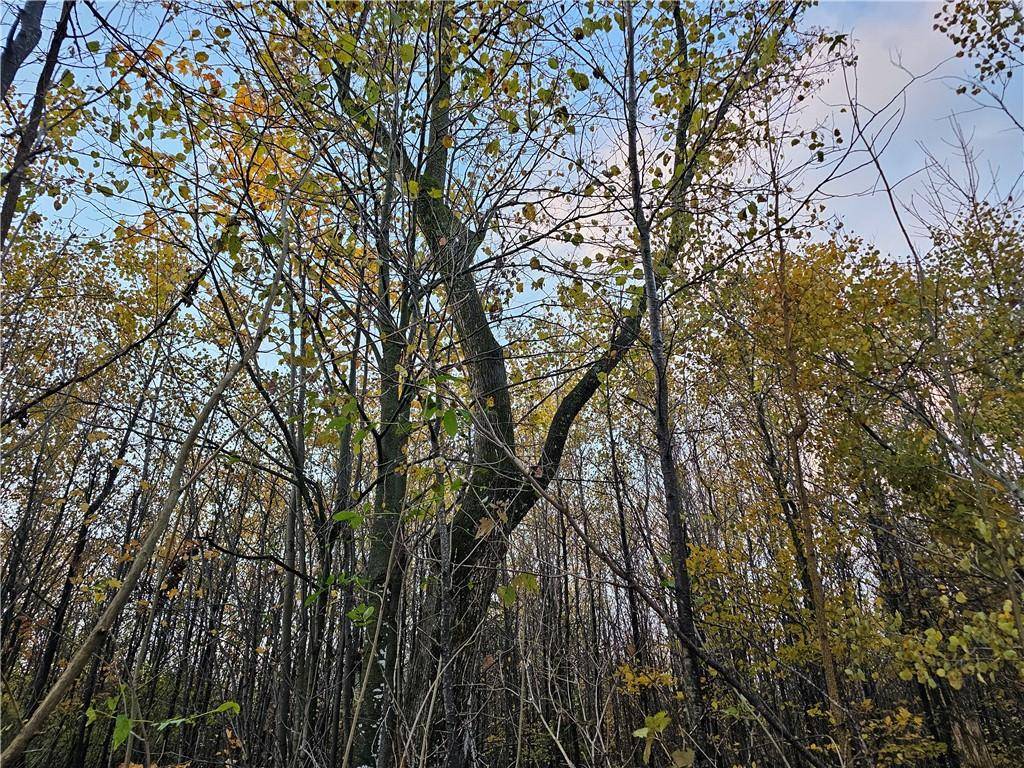 Hawkins, WI 54530,0 Spring Creek Road