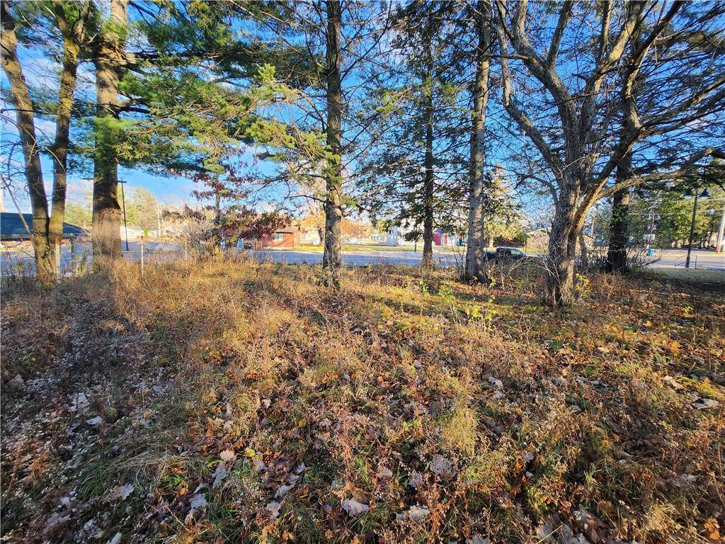 Birchwood, WI 54817,Lot 4 & 5 Main St Street