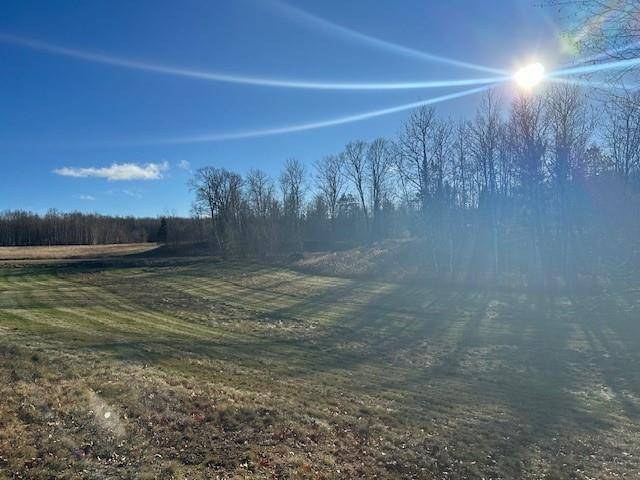 Hayward, WI 54843,Lots 3 & 4 Birken Trail Road