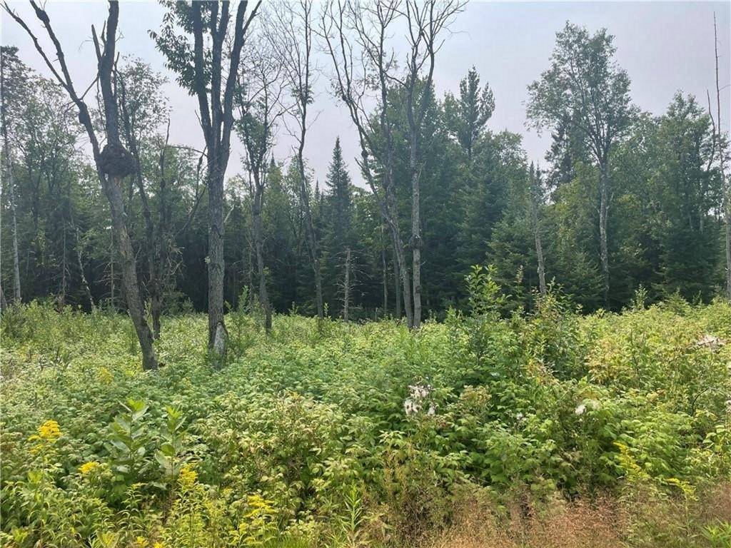 Butternut, WI 54514,6+/- Acres On Old 13 Road