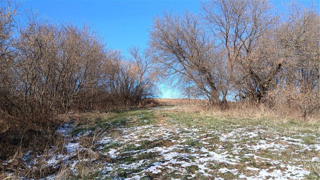 Bloomer, WI 54724,62 Acres 82nd Street