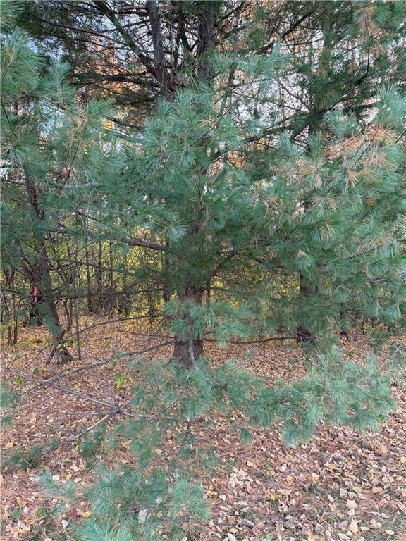 Eau Claire, WI 54701,Lot 22 Short Ridge Estates