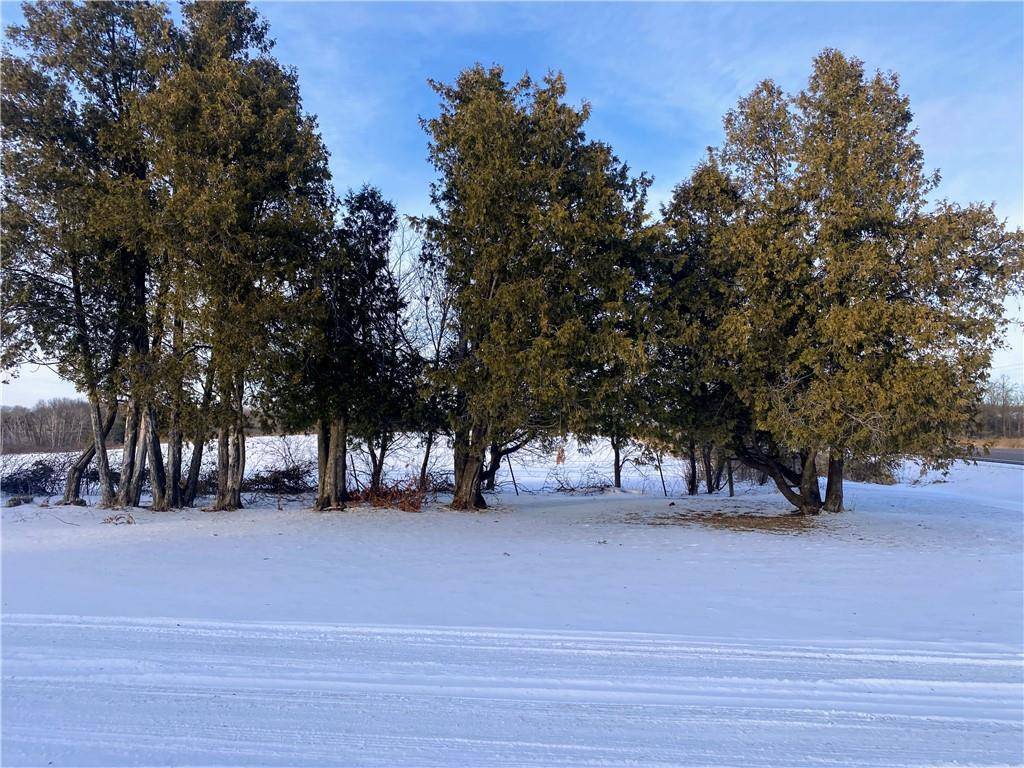 Hillsdale, WI 54733,578 14 1/2 Street