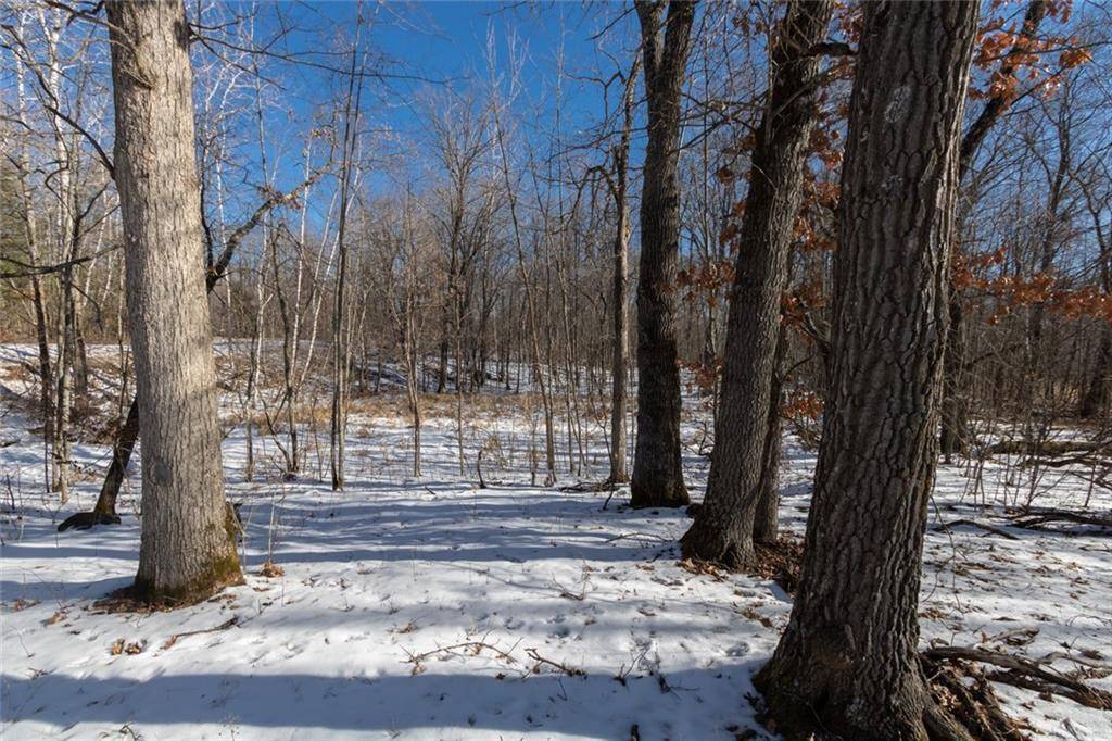 Amery, WI 54001,Lot 12 133rd Street