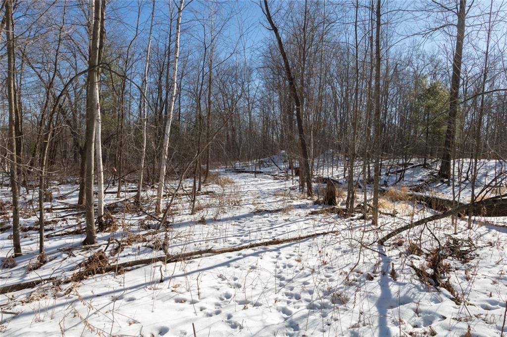 Amery, WI 54001,Lot 15 133rd Street